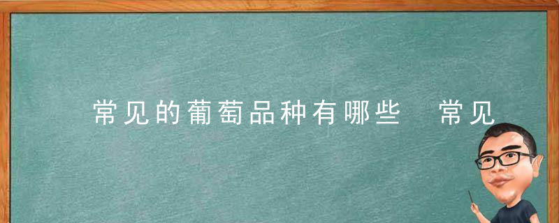 常见的葡萄品种有哪些 常见的葡萄种类有哪些